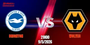 Brighton vs Wolves